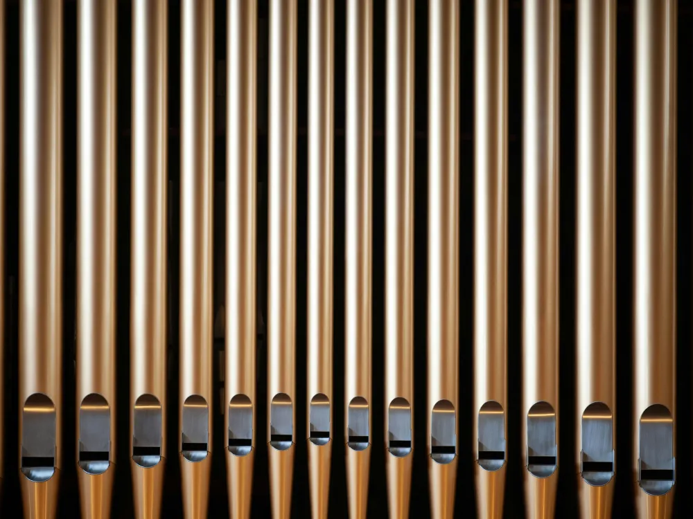 Concierto de órgano - Jeroen Malaise- Catedral Ciudela