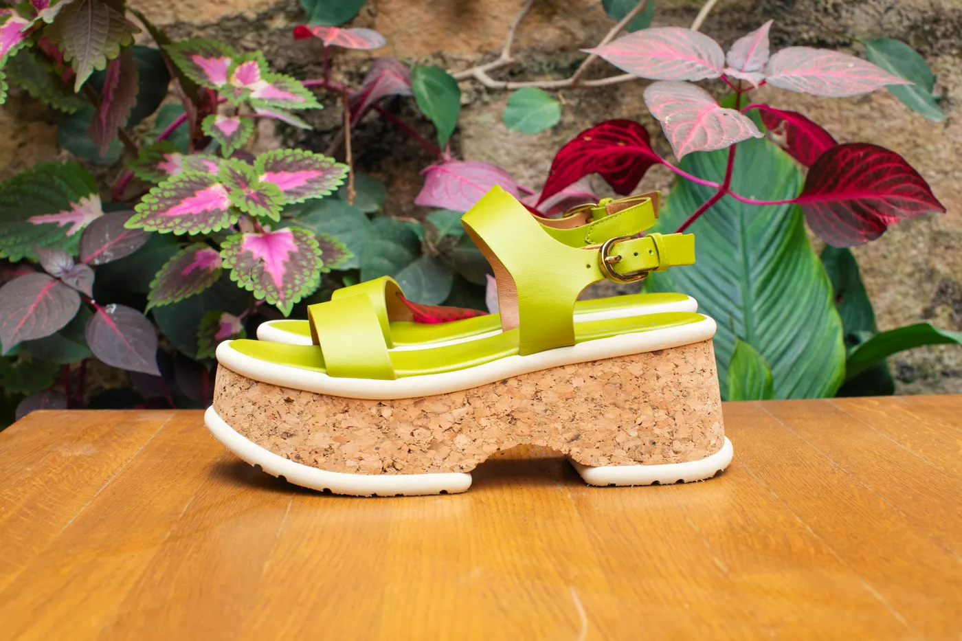 Homers en Menorca - Vista 6