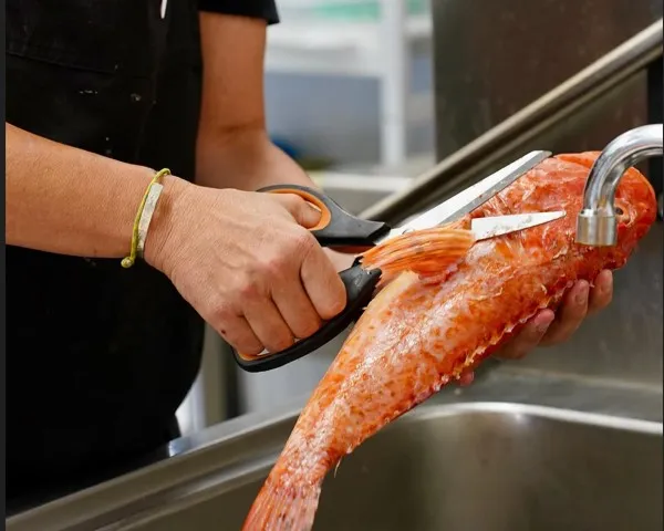 Casa Emilio en Menorca - Vista 7