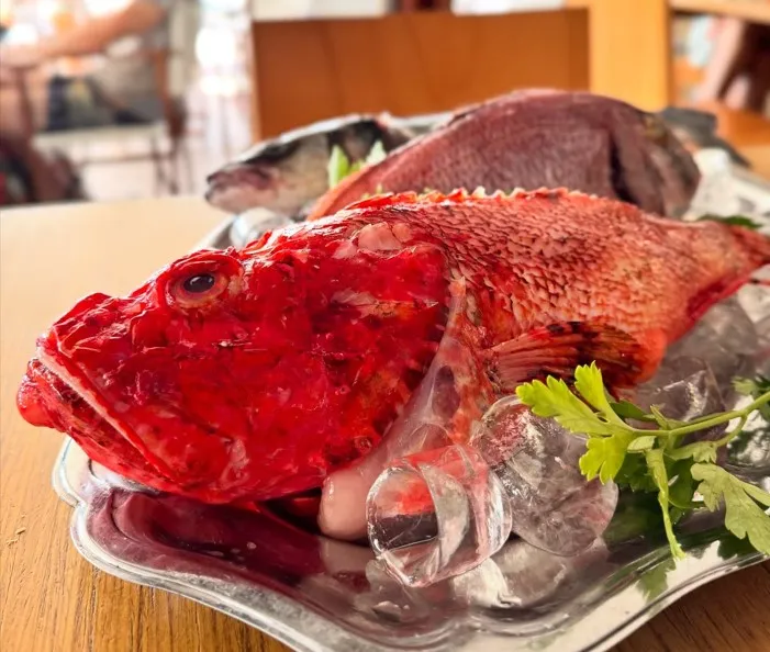 La Palma en Menorca - Vista 4