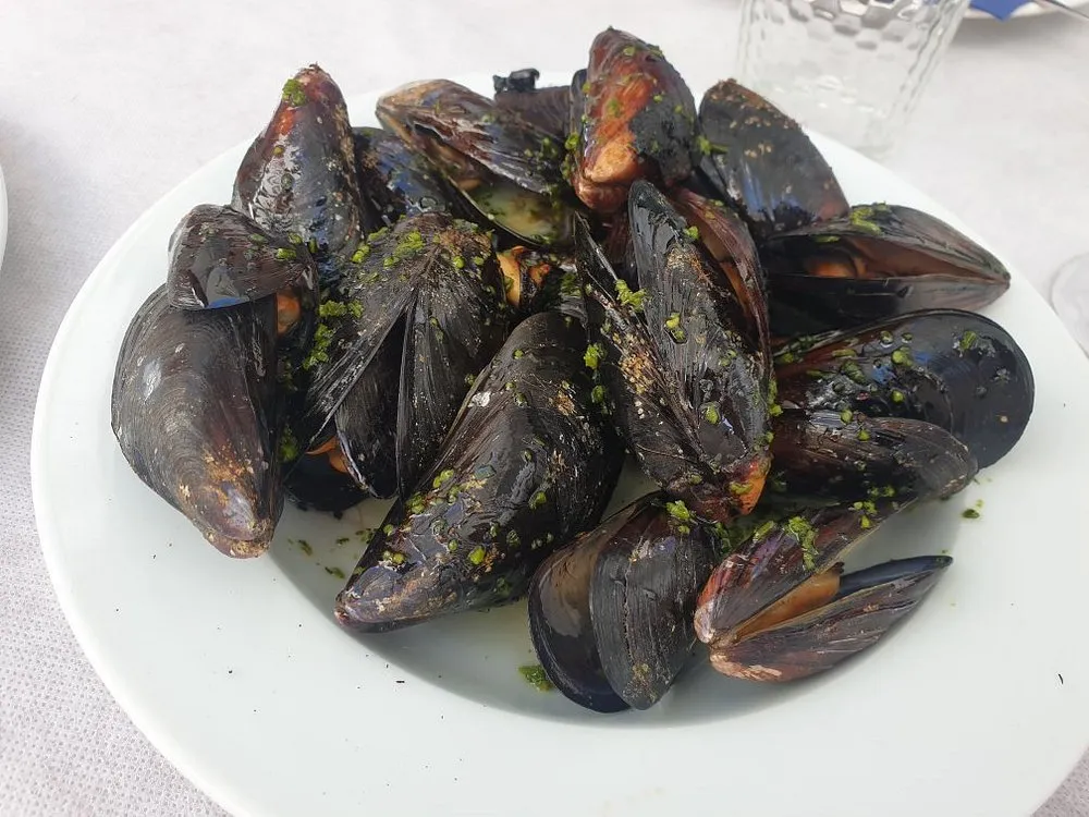 CAN TANU en Menorca - Vista 7