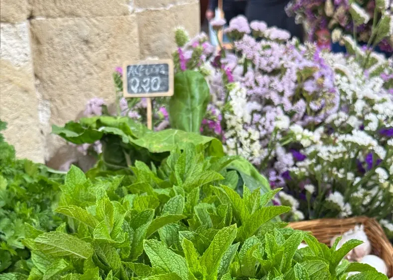 Sa Plaça - Mercat de proximitat en Menorca - Vista 2