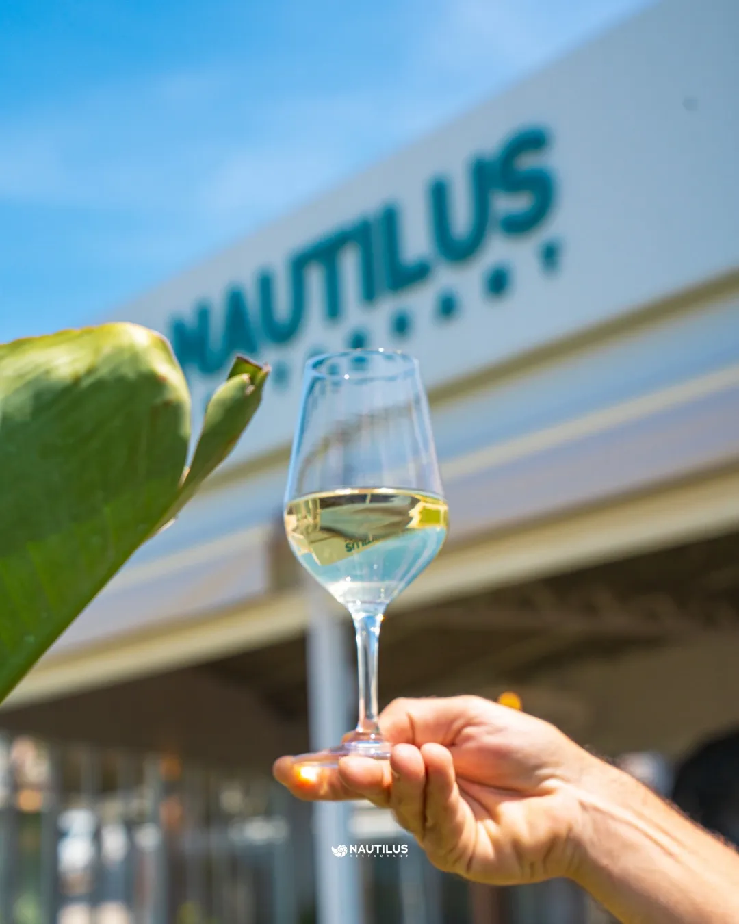 Nautilus en Menorca - Vista 6