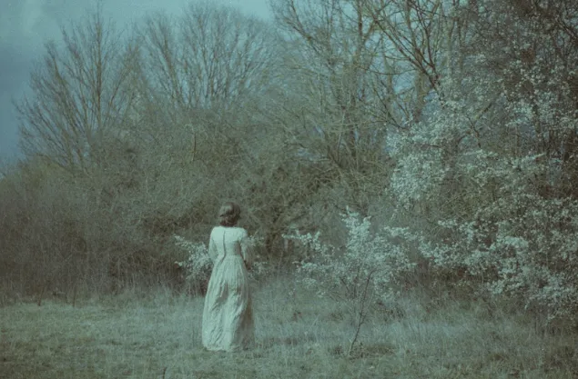 «Brontë» Guiem Soldevila