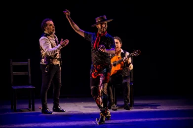 COMPAÑÍA MARCO FLORES