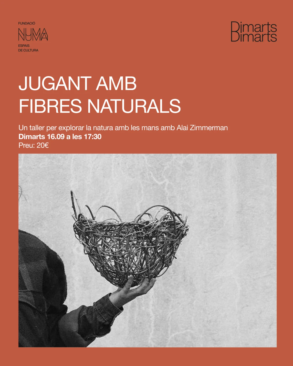 Jugando con fibras vegetales