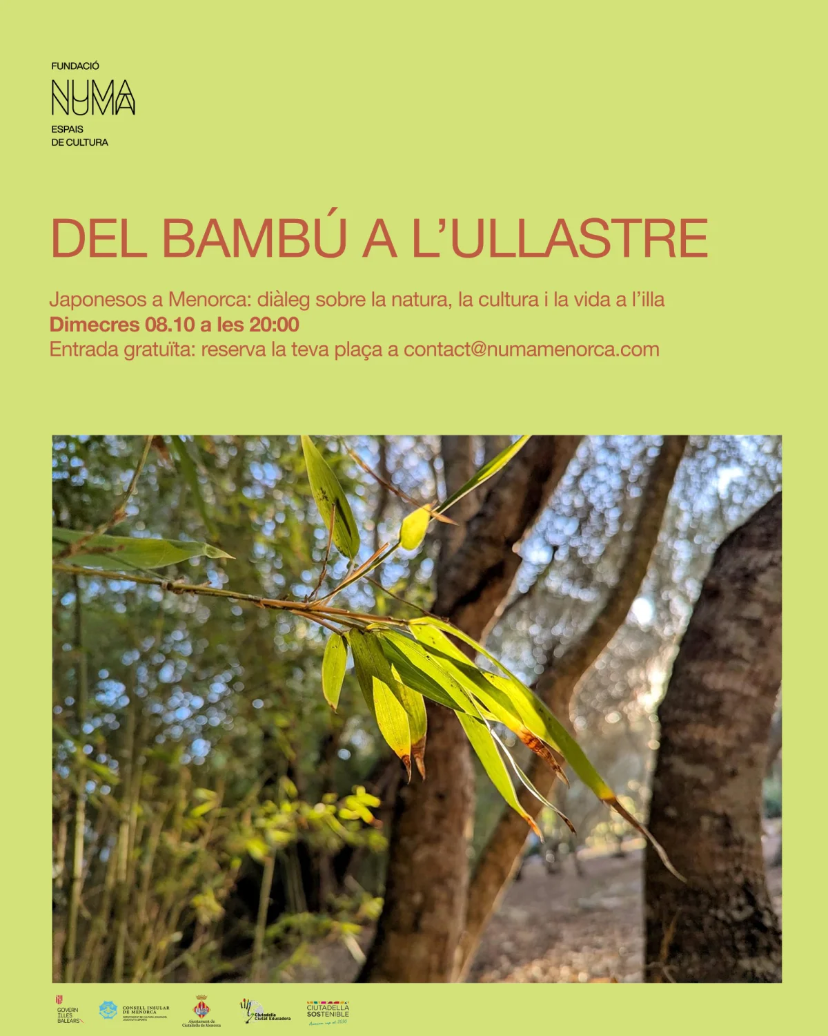 Taller: 'Del bambú a l'ullastre'