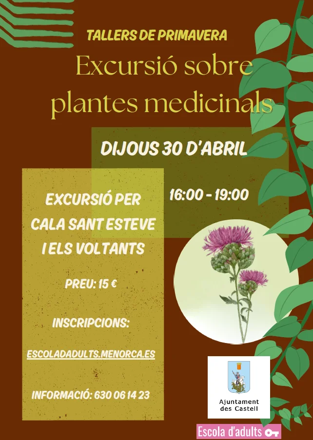 Excursió sobre plantes medicinals