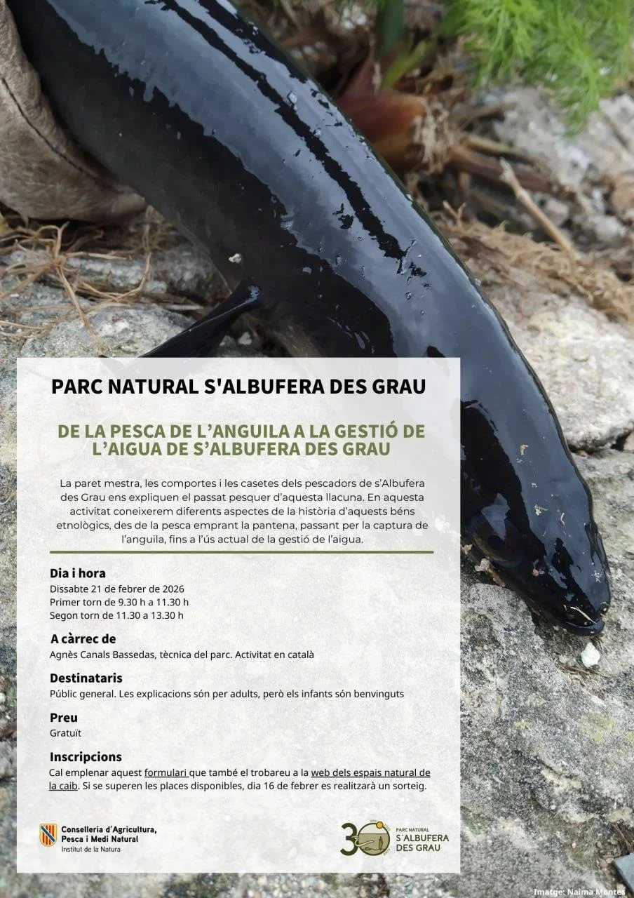 De l'anguila a la gestió de l'aigua: Descobreix el passat pesquer de s'Albufera