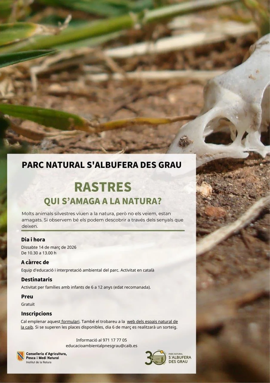 Rastros: ¿Quién se esconde en la naturaleza? Una aventura familiar en l'Albufera