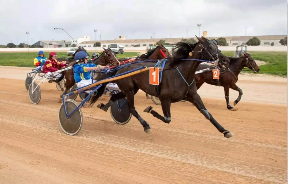Jornada de Trote y Espectáculo Ecuestre en Mahón