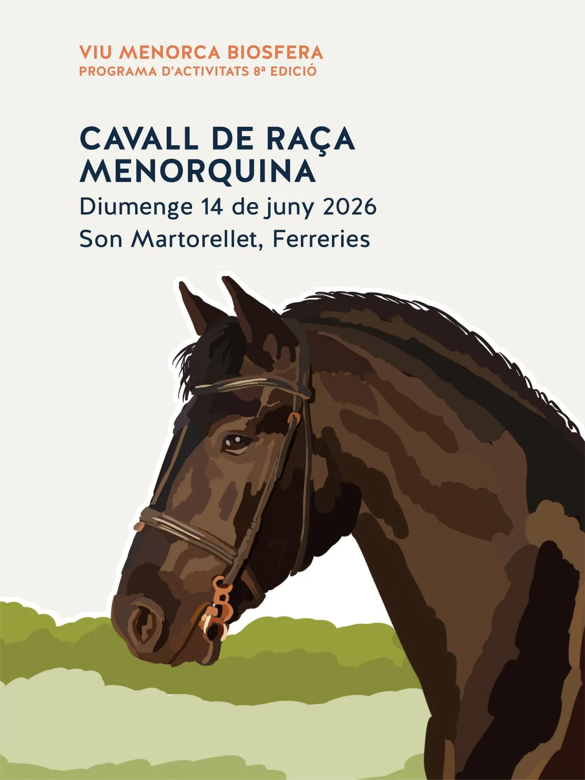 Caballo de raza menorquina: Tradición y nobleza en vivo en Son Martorellet