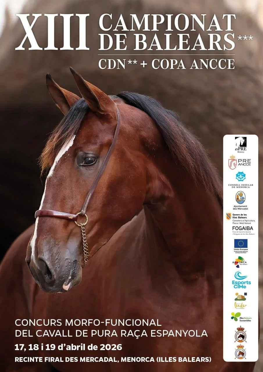 La elegancia del Pura Raza Española