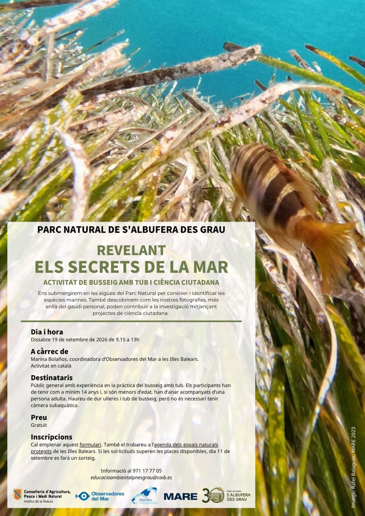 REVELANDO LOS SECRETOS DEL MAR