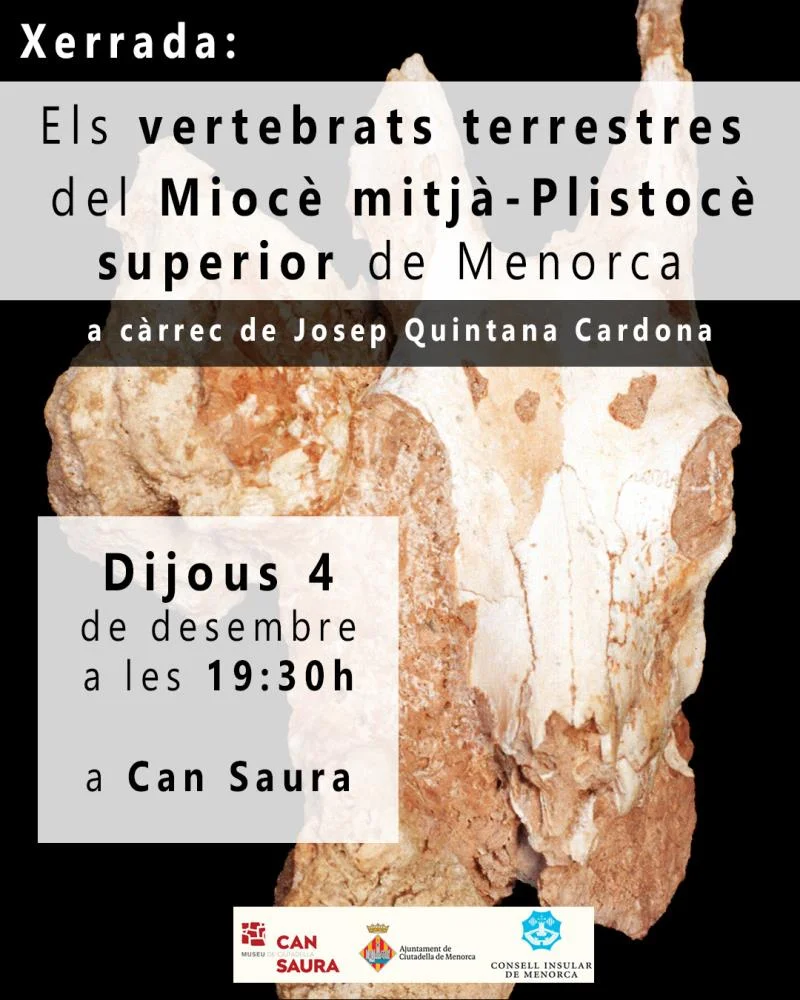 Els vertebrats terrestres del Miocè mitjà-Plistocè superior a Menorca