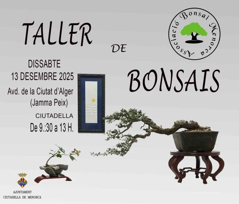 Taller de Bonsais