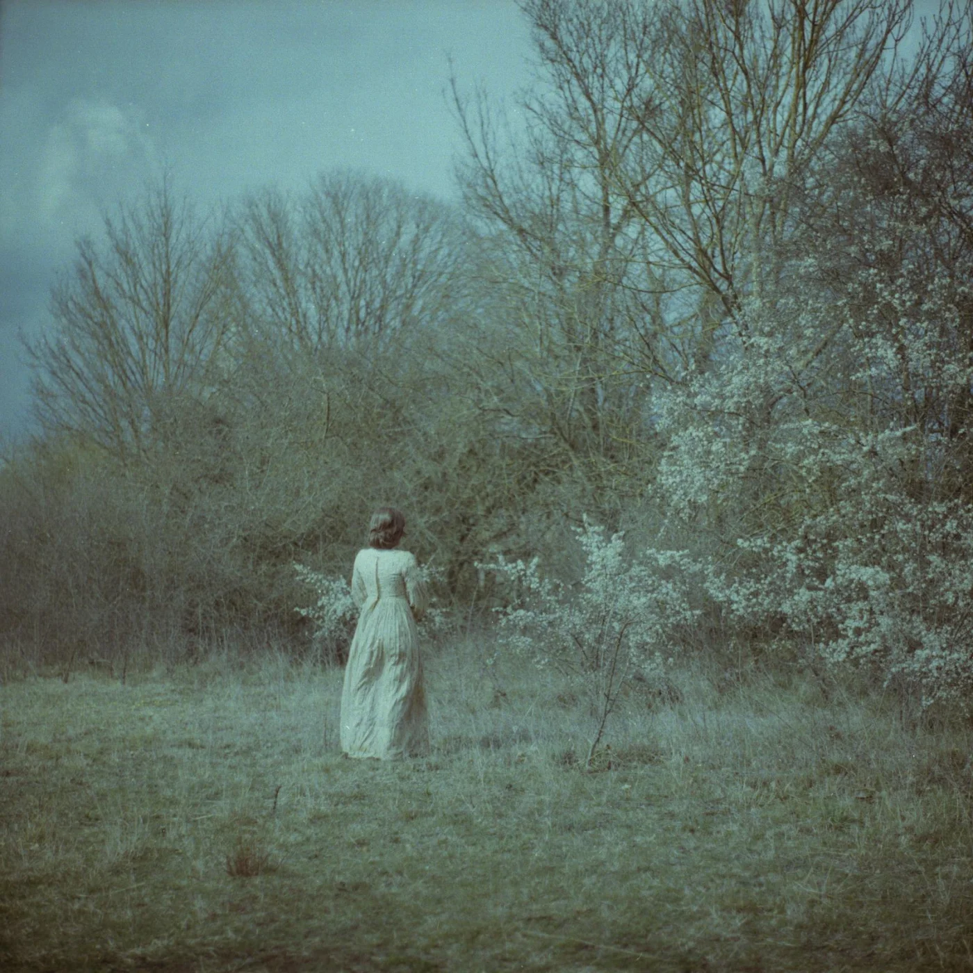 Brontë