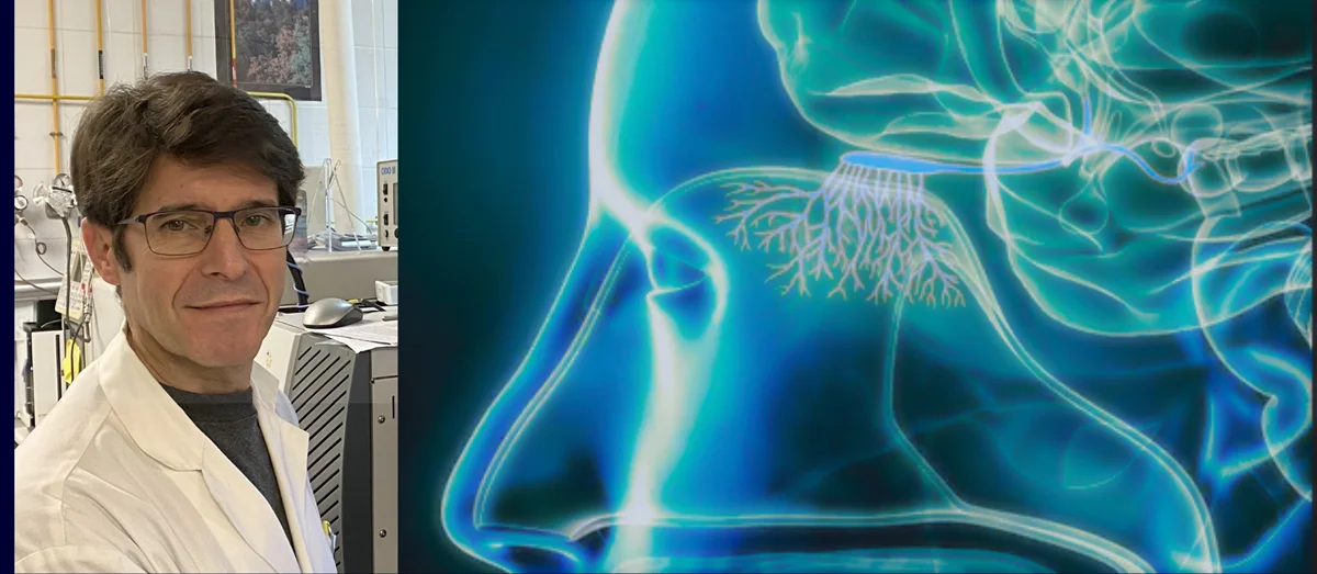 Olores y aromas: el lenguaje químico de la naturaleza