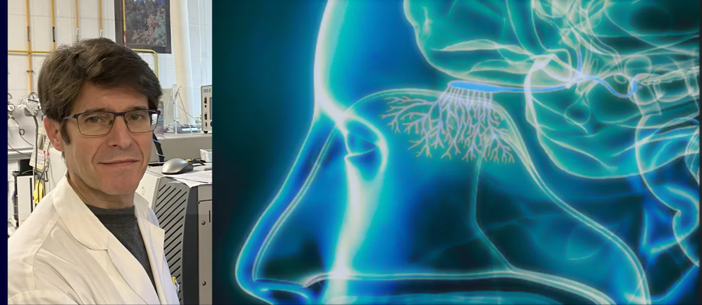 Olores y aromas: el lenguaje químico de la naturaleza