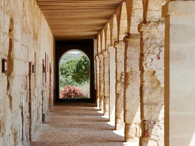 Guided tour of the Hospital