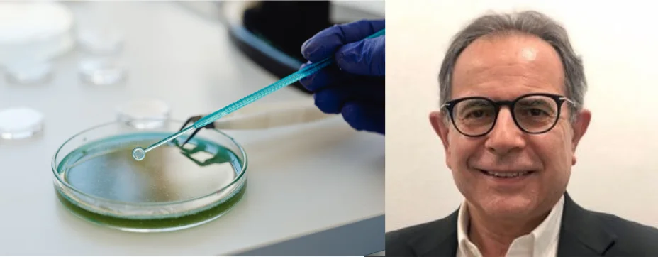 Contribución de la Química a la solución de los problemas energéticos y medioambientales