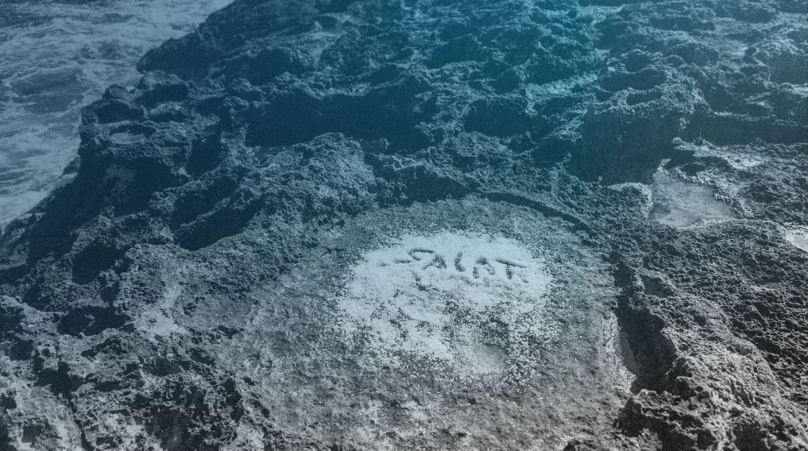 Concert solidari. Presentació disc SALAT