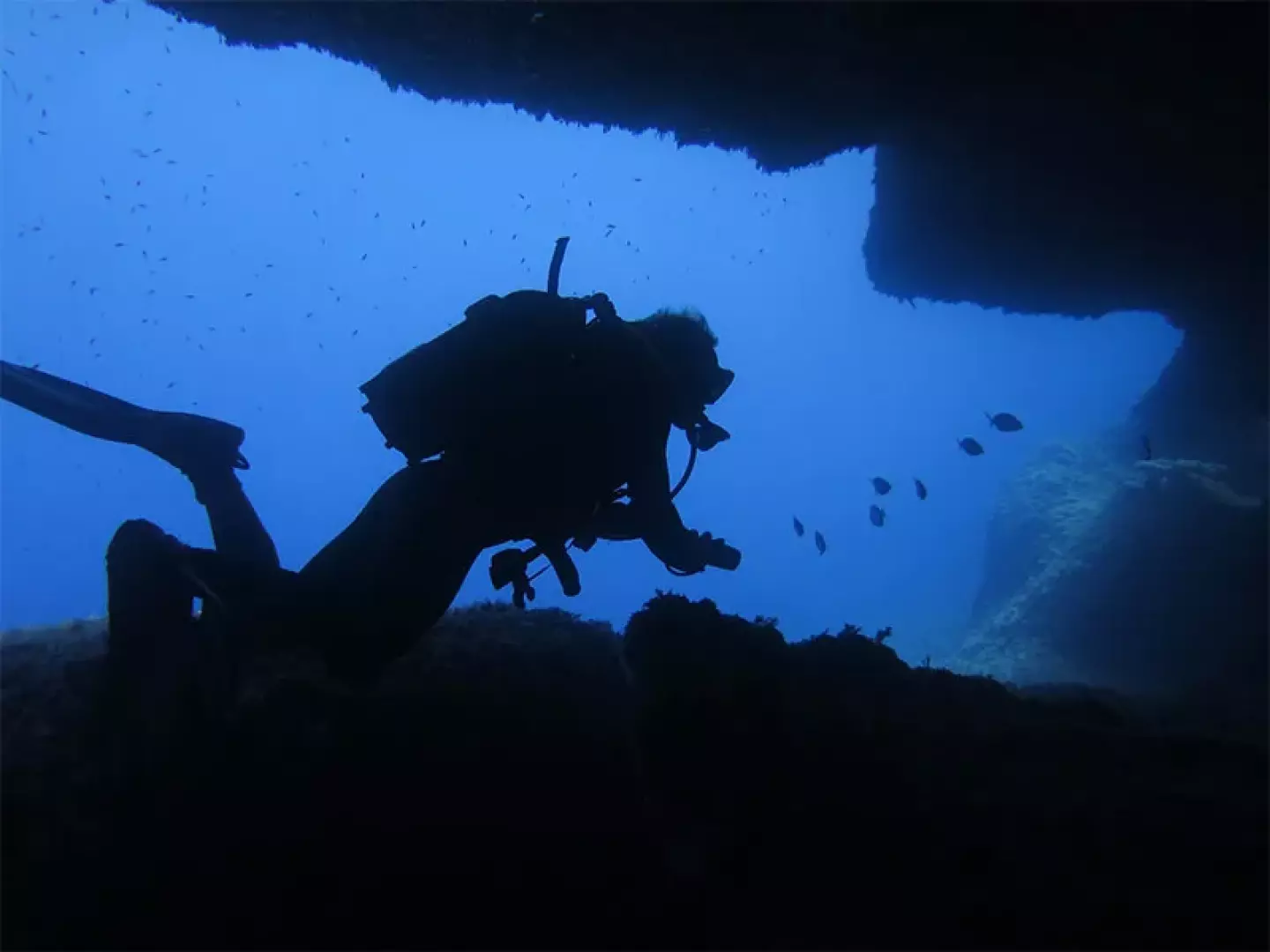 Merak Diving - image - 0
