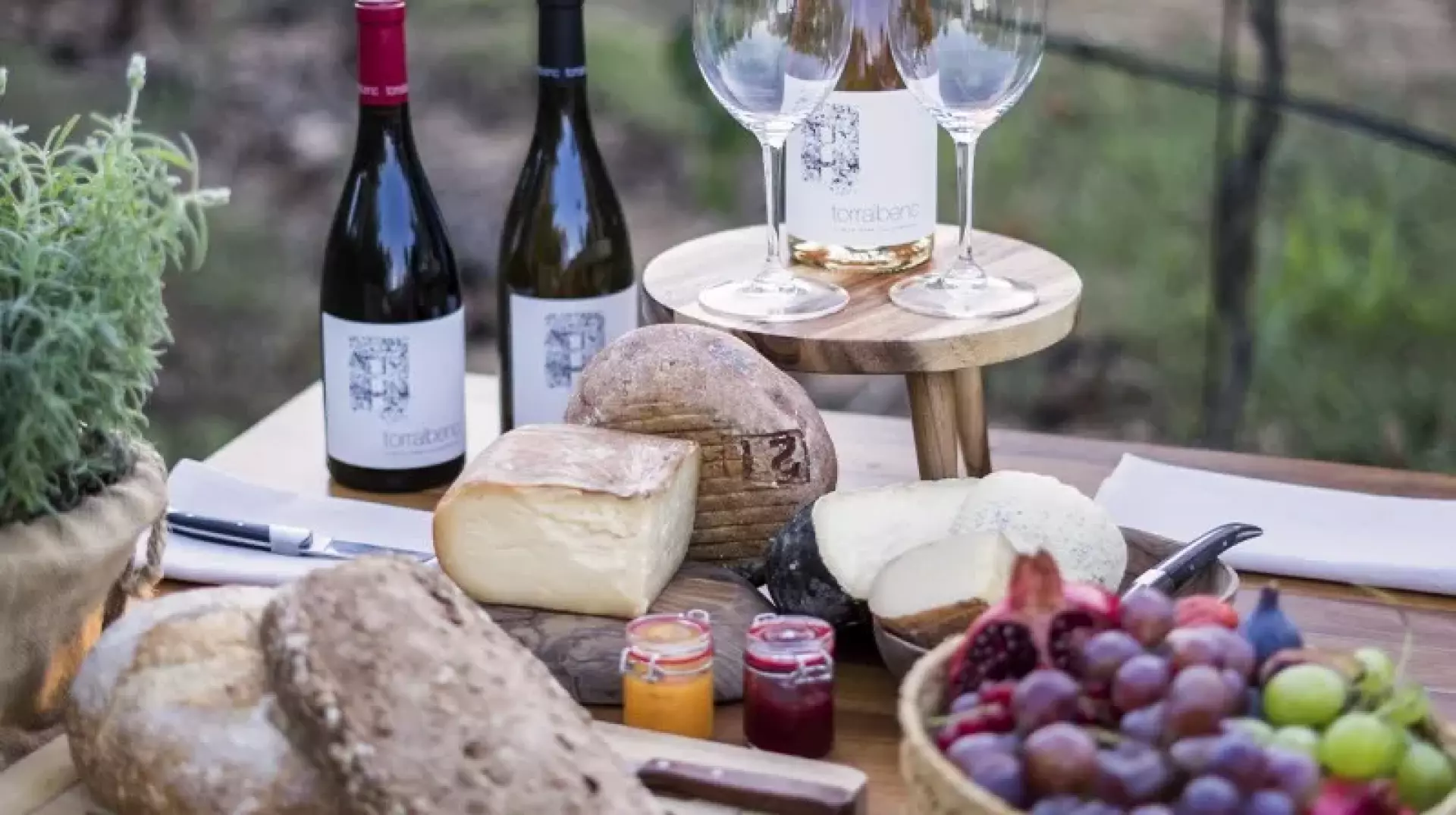 Bodegas Torralbenc - image - 2