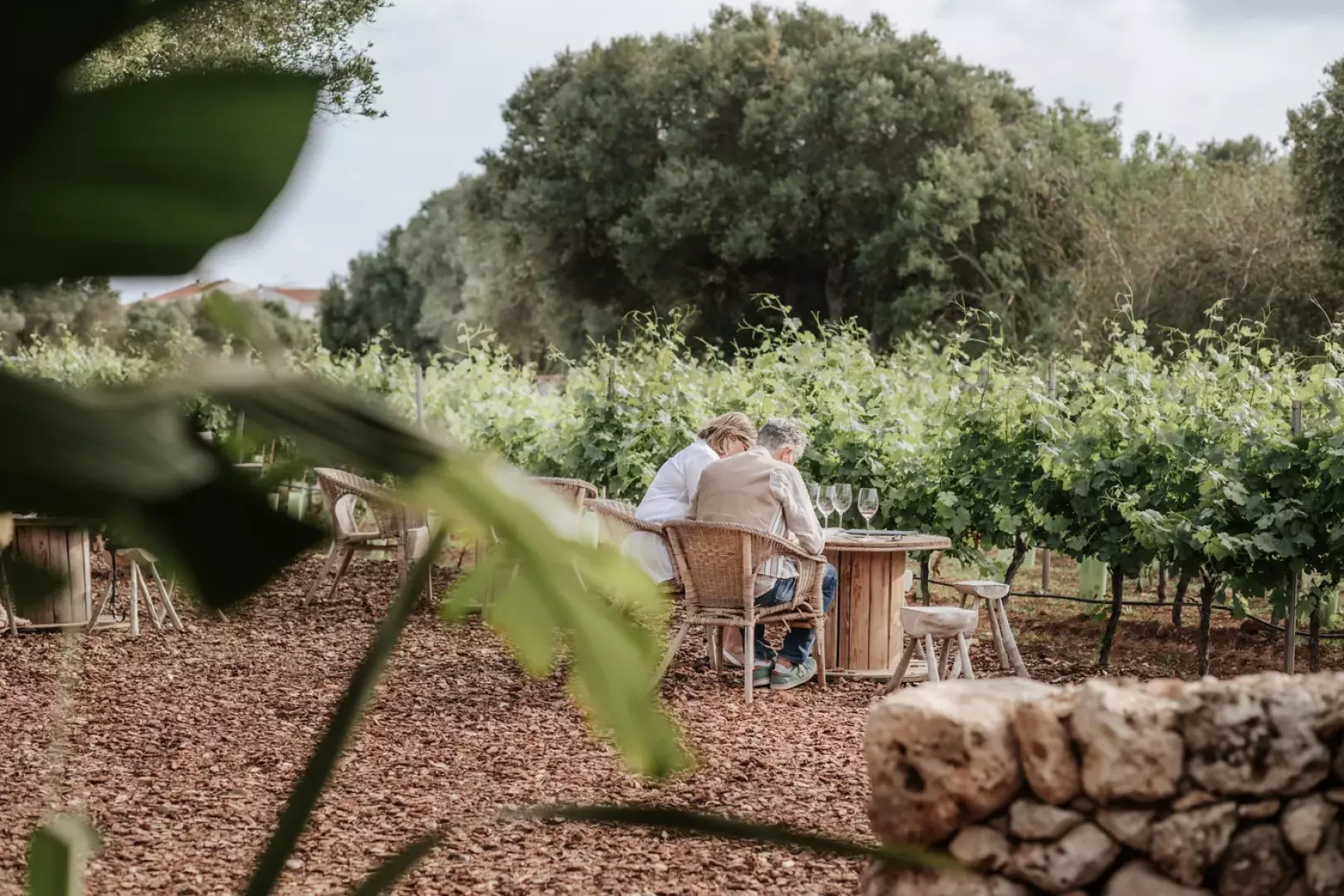 Bodegas Binifadet - image - 6