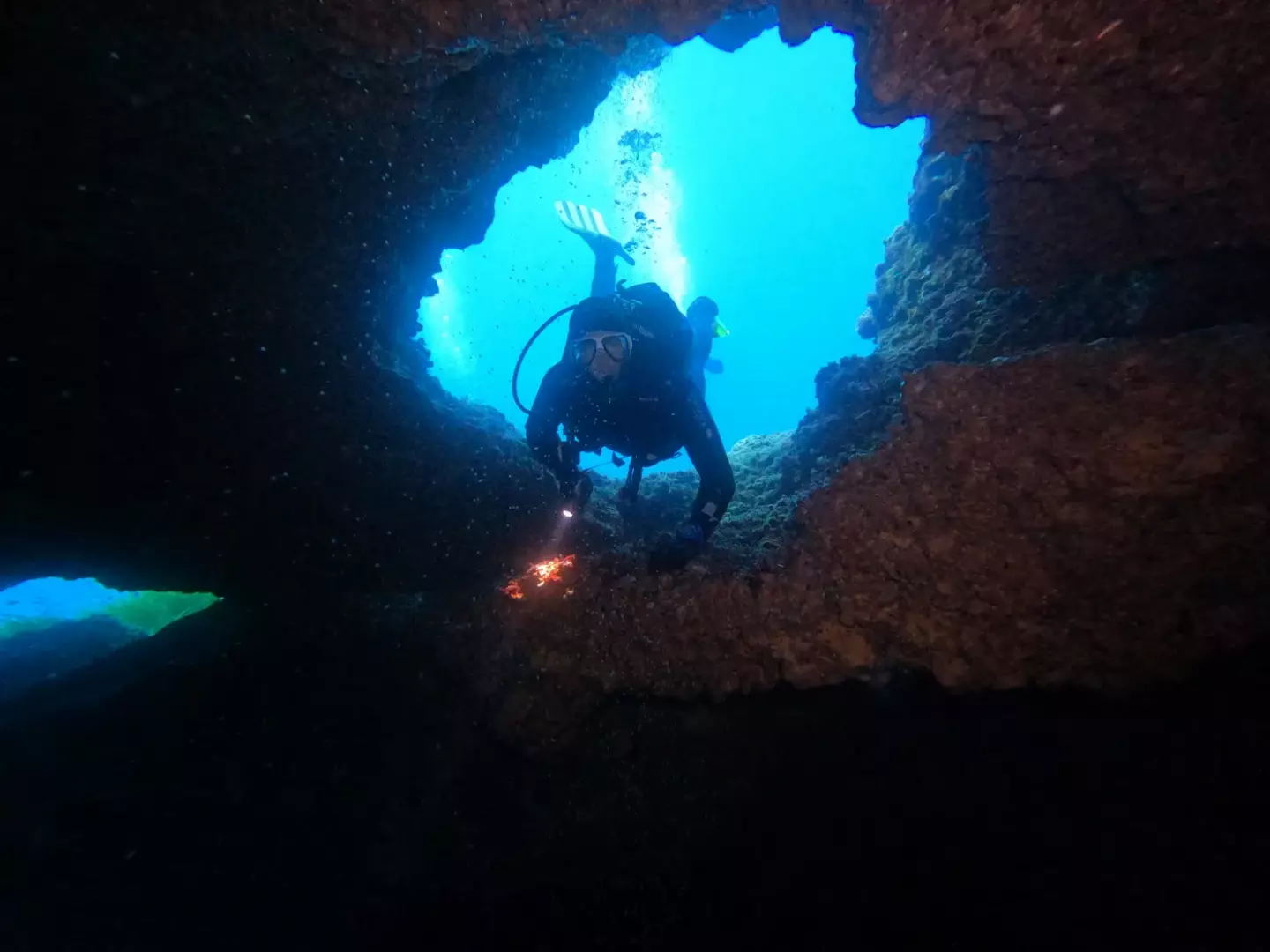 SeaQuest Diving Center - image - 1