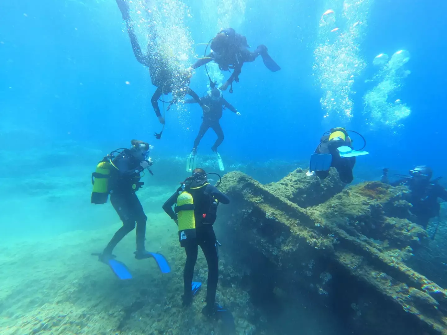 SeaQuest Diving Center - image - 0