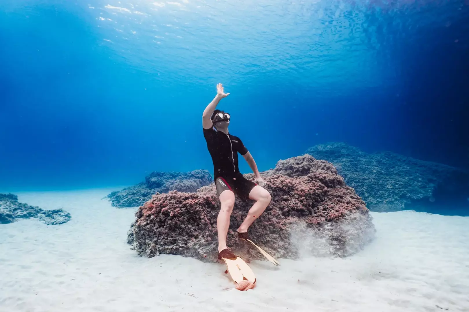Blue Islands Diving - image - 3