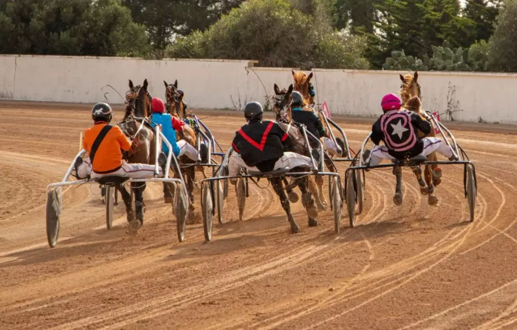 Hipódromo Maó - Carrera de Trotones - image - 2