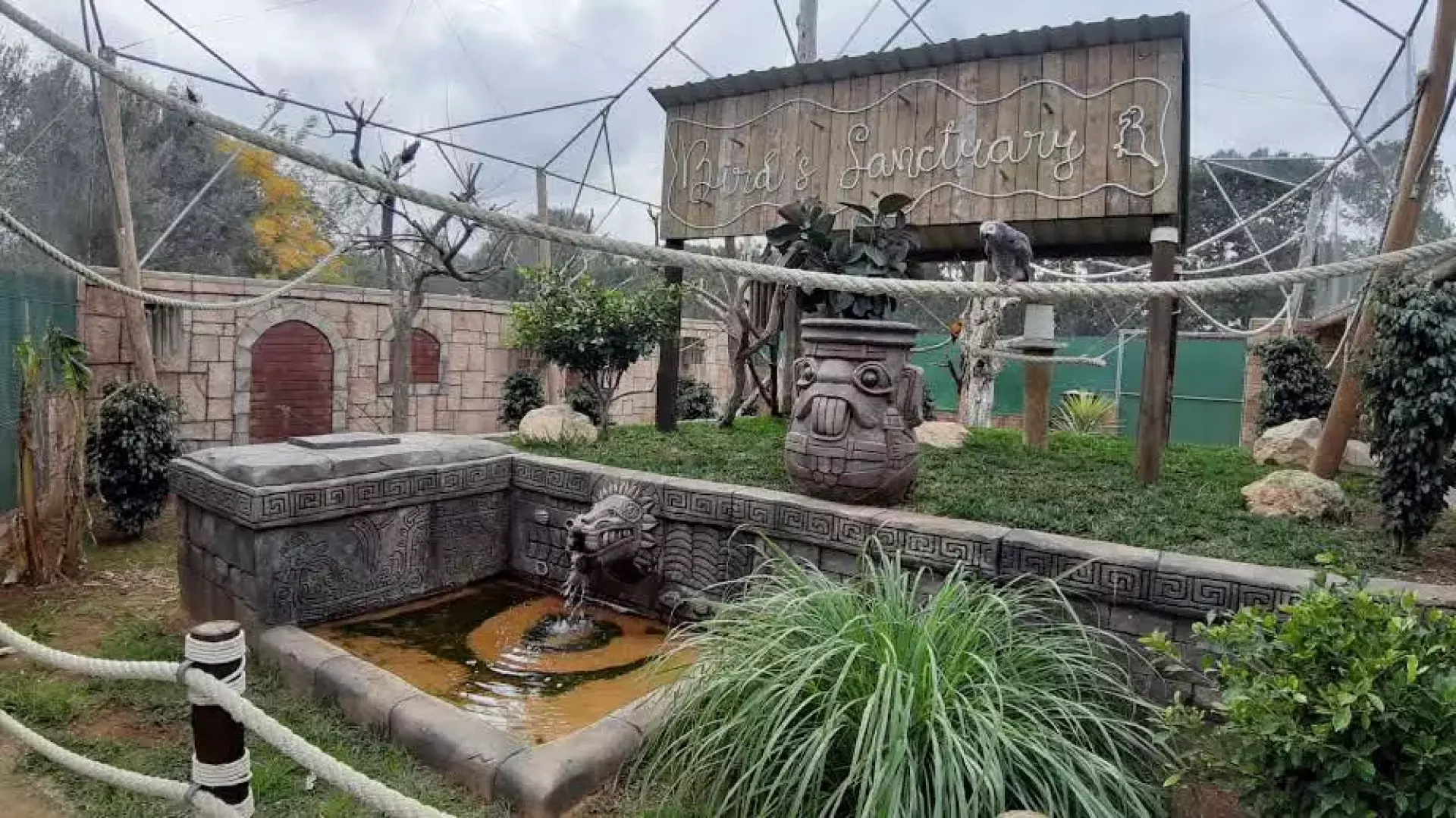 Lloc de Menorca - Zoo - image - 5