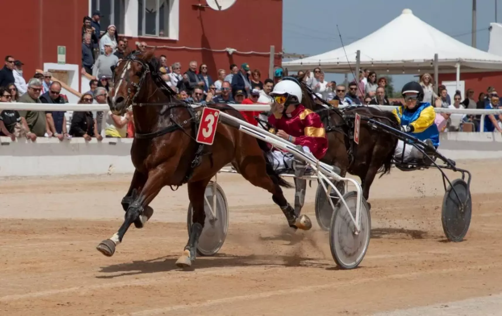 Hipódromo Maó - Carrera de Trotones - image - 1