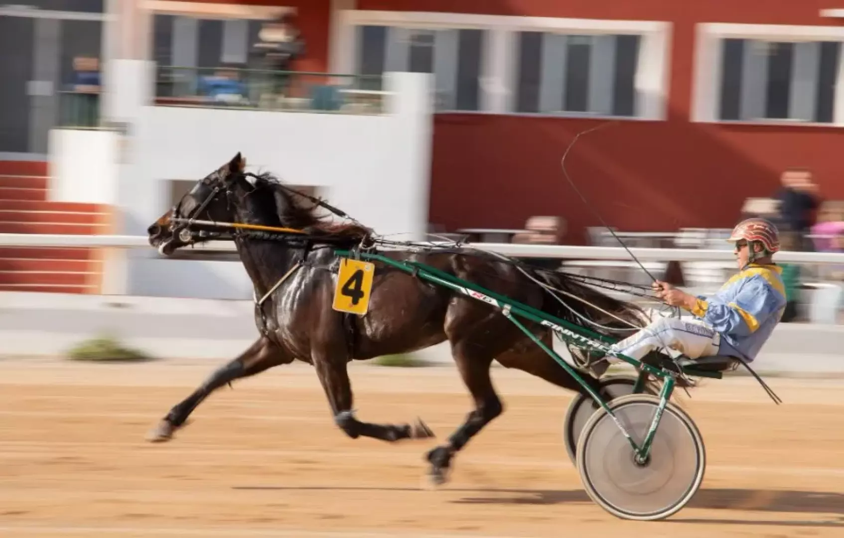Hipódromo Maó - Carrera de Trotones - image - 3