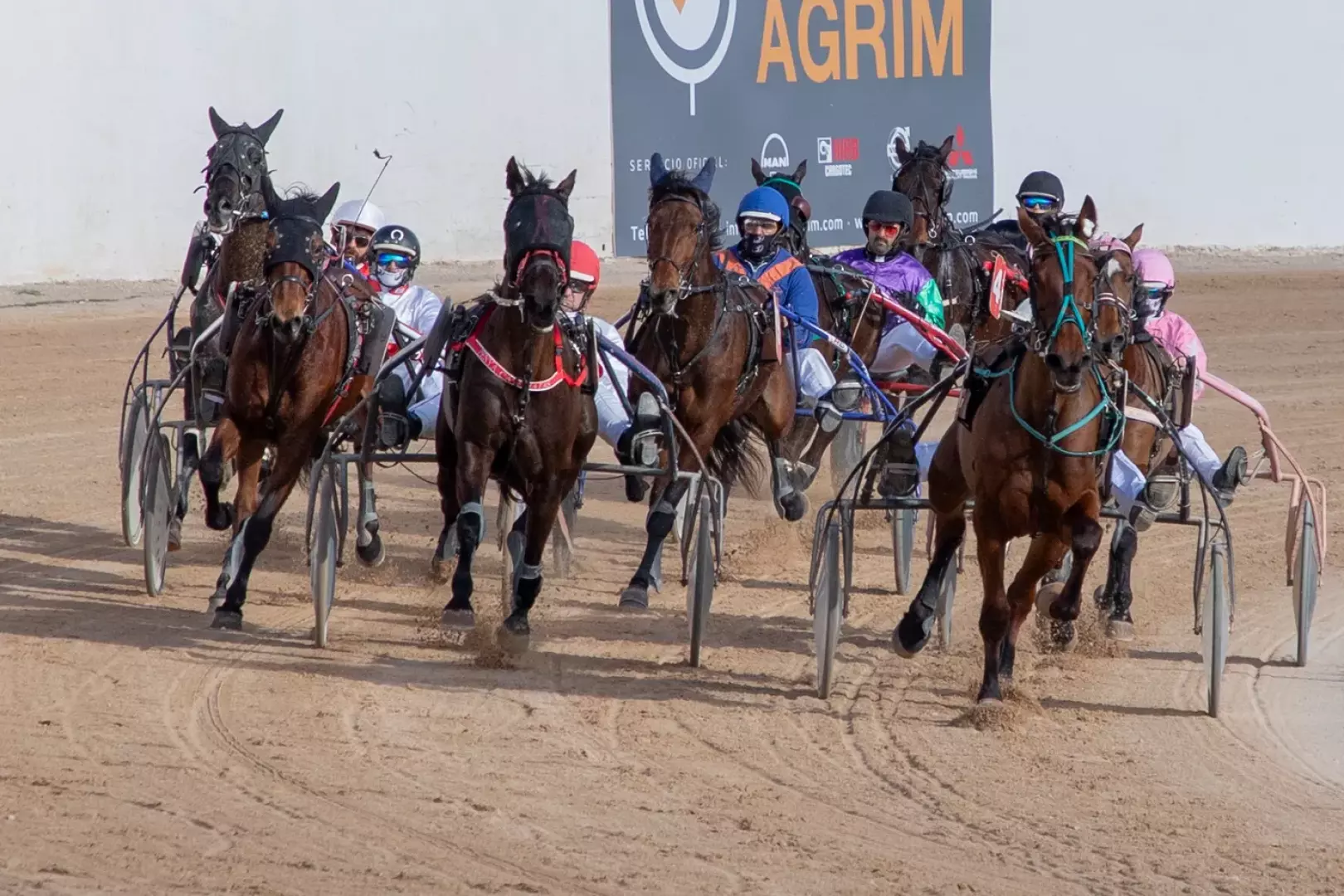 Hipódromo Torre del Ram - image - 4
