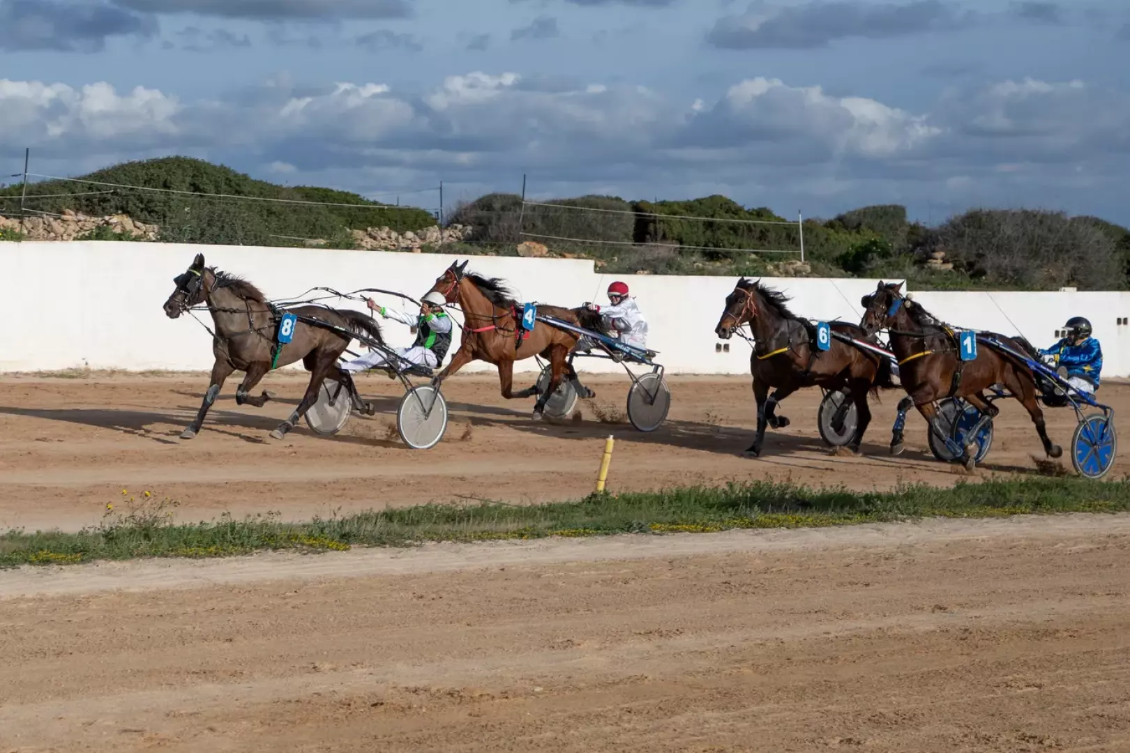 Hipódromo Torre del Ram - image - 3