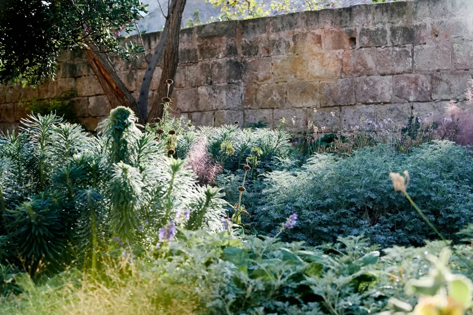 Hauser & Wirth - image - 2