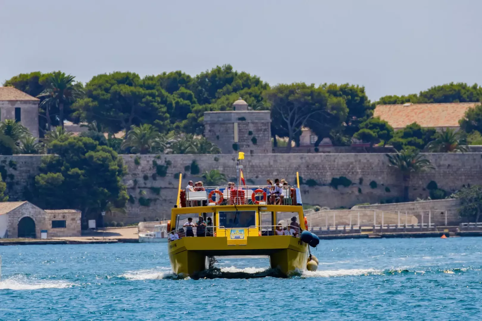 Yellow Catamarans