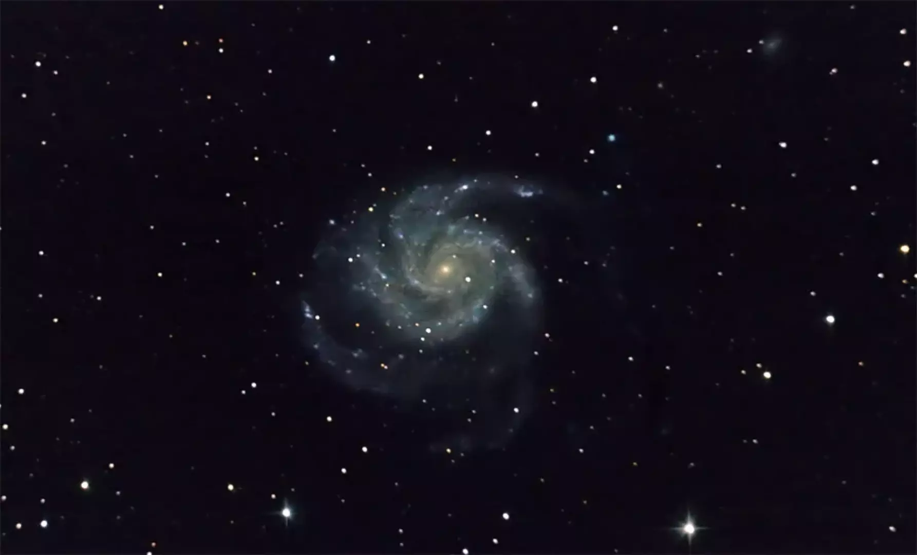 Polaris - image - 4