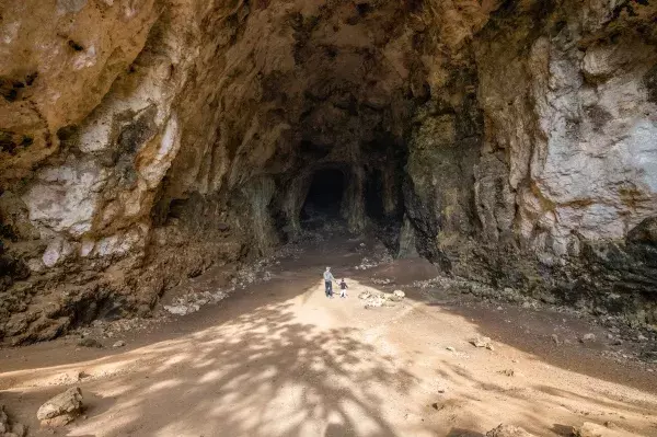 Cueva des Coloms