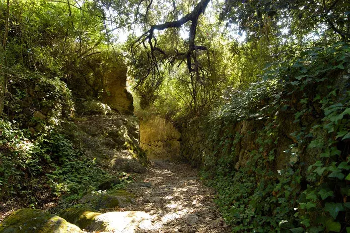 Barranco de Algentar