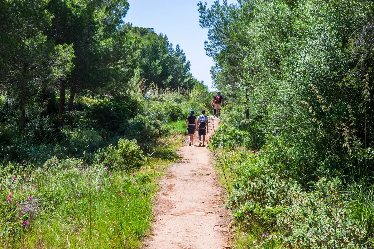17 Cala en Porter - Binisafúller