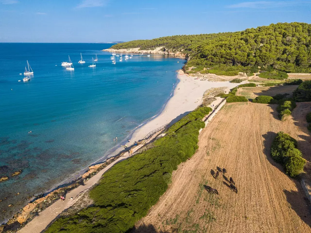 Menorca en verano